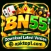 bn55